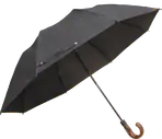 Guarda-chuva